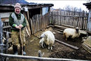Hardship or Contentment ? Glyn Davies Portrait