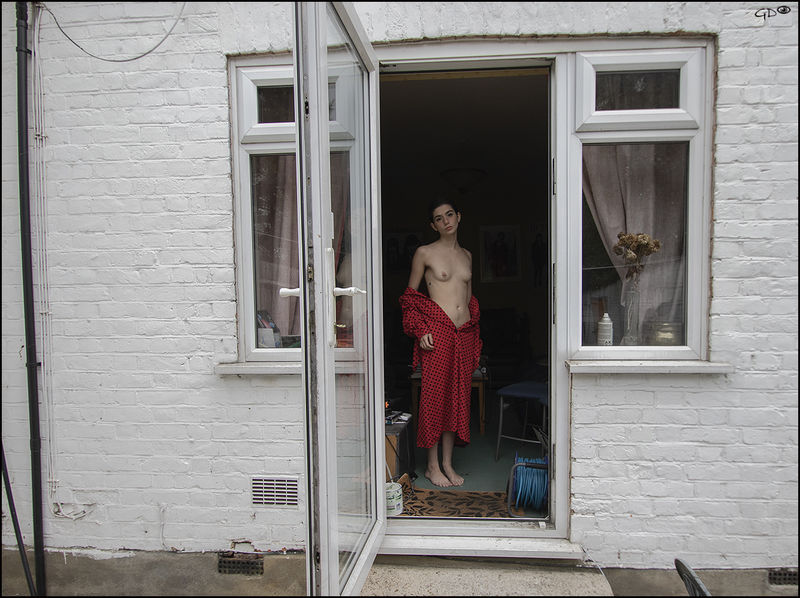 Glyn Davies. Art Nude.