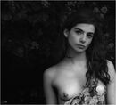 Camille.