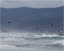 Tarifa. Glyn Davies