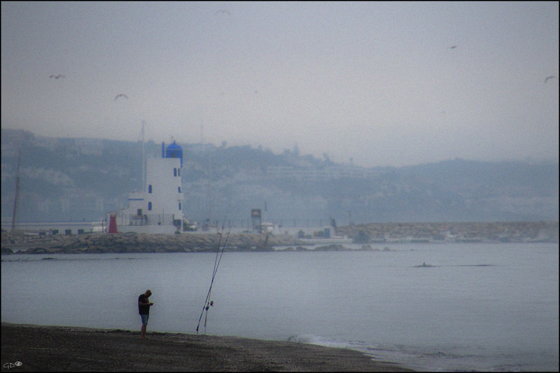 Visitors.