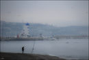 Now firmly settled into retirement there is no set agenda and about 4-5 times a week we go for early morning walks either along the beach or across the hills. We went out the other day on a lovely fresh and misty morning down to the beach. As we walked I noticed a man holding a phone up into the air pointing it out into a foggy sea scene and was puzzled as to what he was trying to take a photo of (with a telephone ?). He saw me with a proper camera and came over to tell me that there were a pod of Dolphins around the harbour entrance. The light was difficult and I only had a few seconds to quickly adjust settings to shoot as the dolphins bobbed up and down about 150m off shore. A good morning it was.