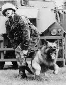 Aggression ! Glyn Davies Monochrome