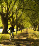 Autumn in England Glyn Davies England