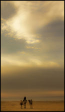 Kuwait Landscape.