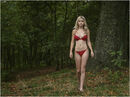 If you go down in the woods today You're sure of a big surprise Glyn Davies. Art Nude.