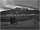 A long Cold Road Home