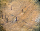 Is there life on Mars ?