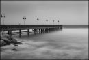 Untamed sea. Glyn Davies Monochrome