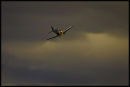 Corsair in Storm.
