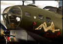 A girl with some sting in her tail ! Glyn Davies England