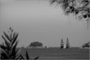 Naval engagement 2