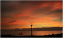 Artificial lighting not required. Glyn Davies Cyprus