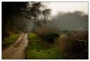 A stroll in the country. Glyn Davies England