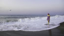 Walking with the Seagull Glyn Davies Spain