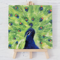 Blue Peacock Greetings Card Blue Peacock