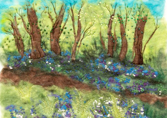 Bluebell Wood