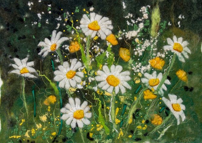 Buttercup & Daisy Field