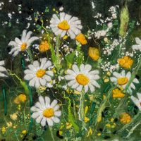 Buttercup & Daisy Field Giclee Print A3 Buttercup & Daisy Field