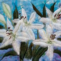 White Lilies Giclee Print A3 White Lilies