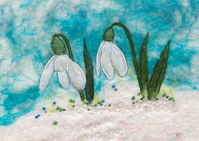Snowdrops