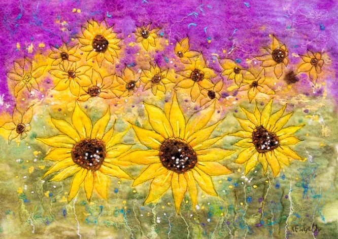 Sunflower Fields