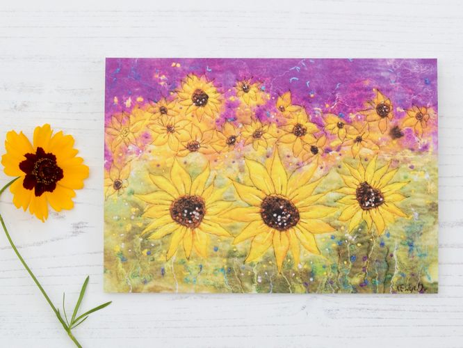 Sunflower Fields