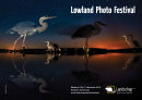 BVNF & Lowland Fair