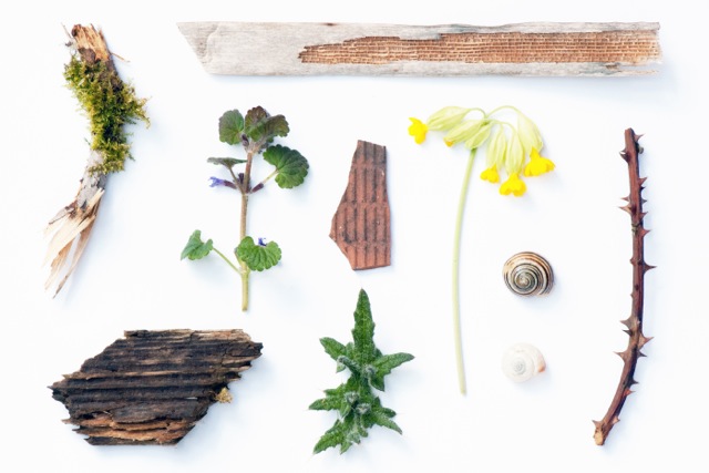 Found in the Fields 2 (Swaddywell 1st April), Kathryn Parsons, one of a collection of photographs by Kathryn Parsons