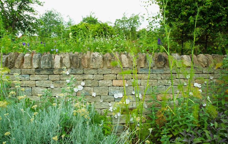"I Found the Poems in the Fields" (detail) porcelain plants by Kathryn Parsons
