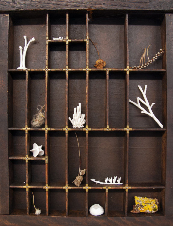 "Found in the Woodlands", Kathryn Parsons, porcelain, found plant materials & 2 vintage printmakers trays (each tray approx 80x40cm)