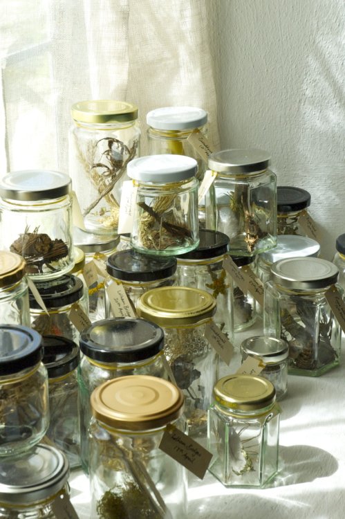 Found in the Fields 1 (detail), Kathryn Parsons, found materials & 42 jam jars