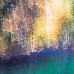 KRB8319 ICM image of the Norfolk woodlands