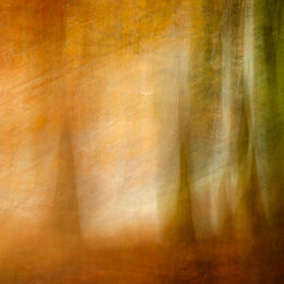 KRB 5 Abstract Trees