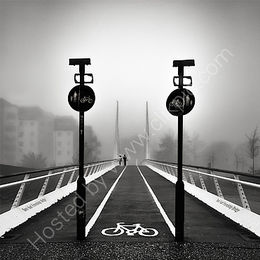 Early Morning Walkers