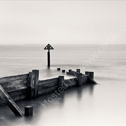 Grey Day
