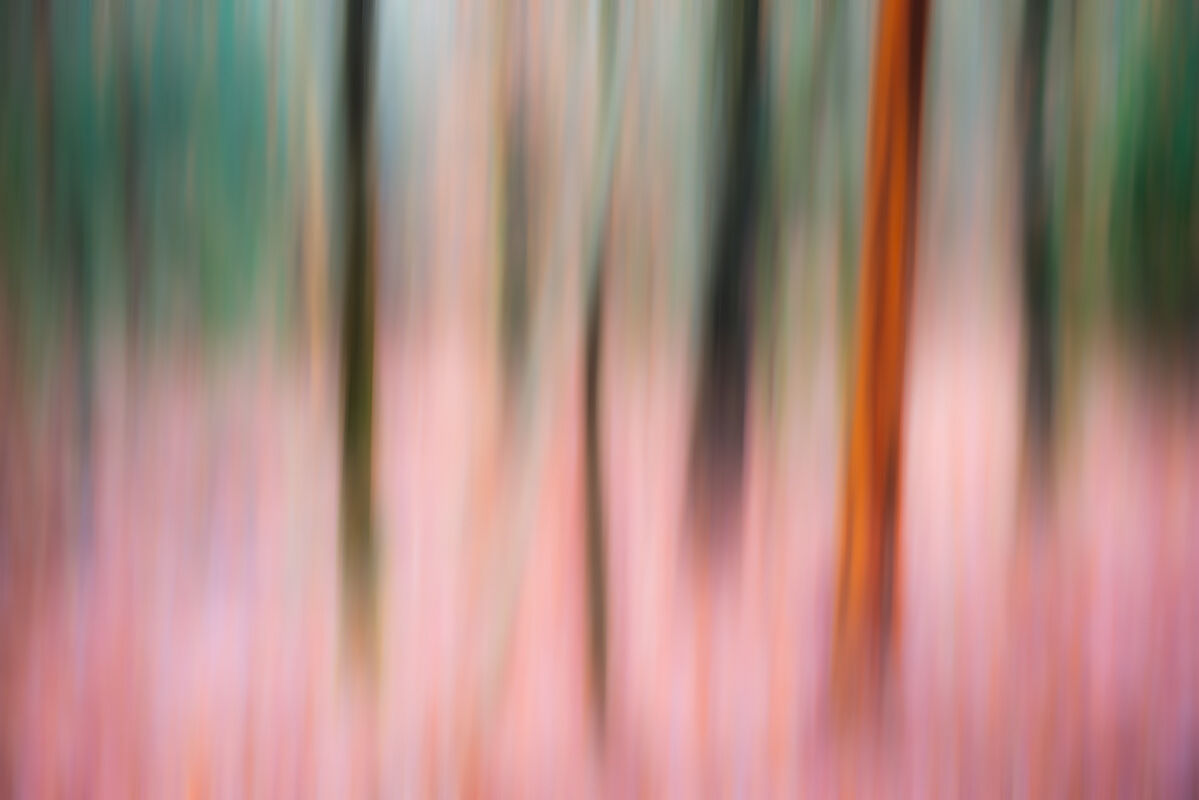 Abstract Trees