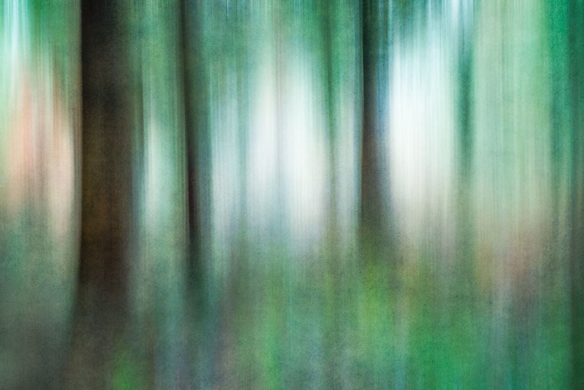 Abstract Trees
