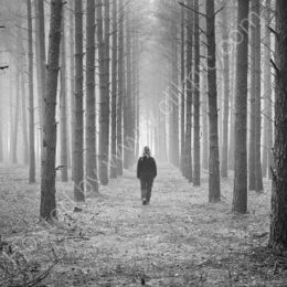 Alone