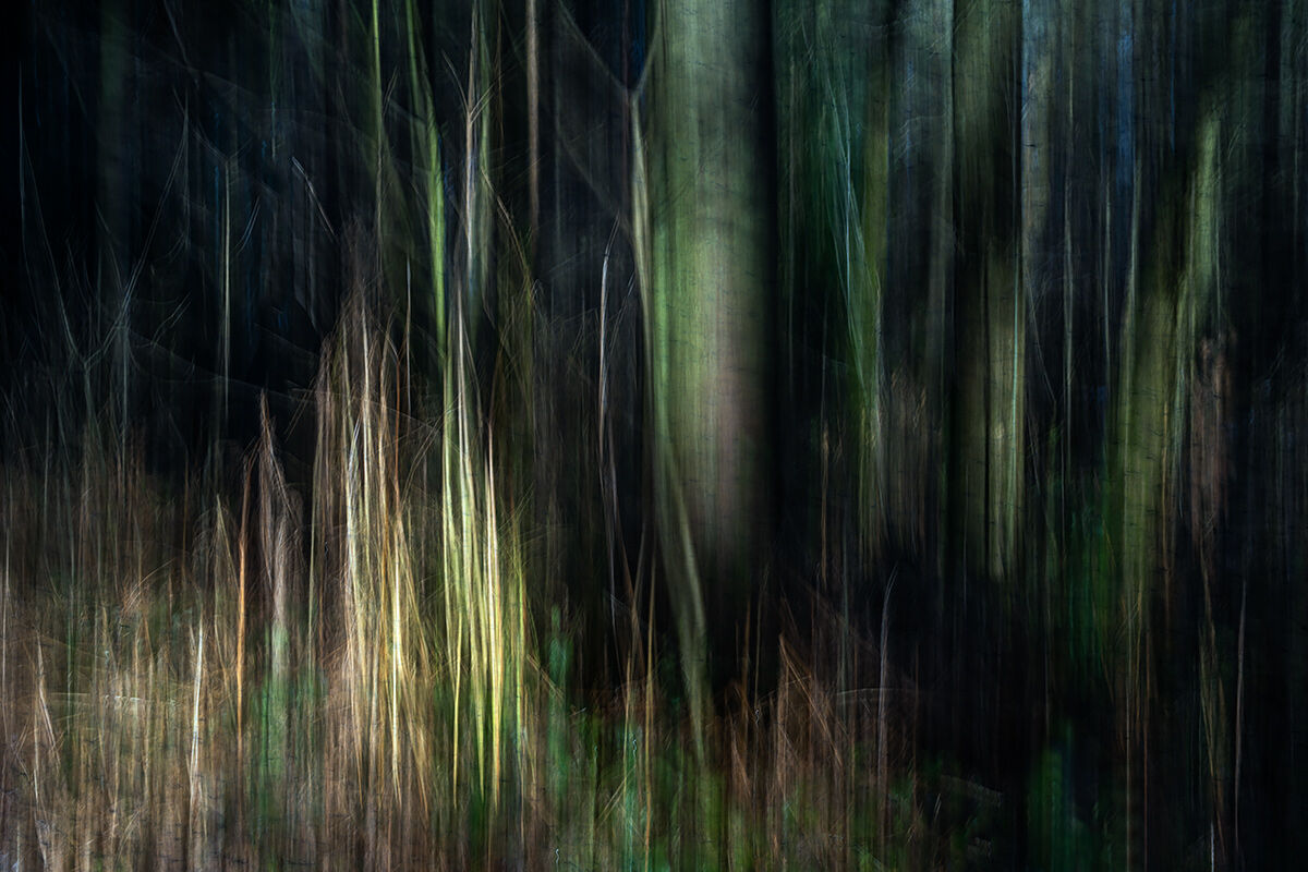 Abstract Trees
