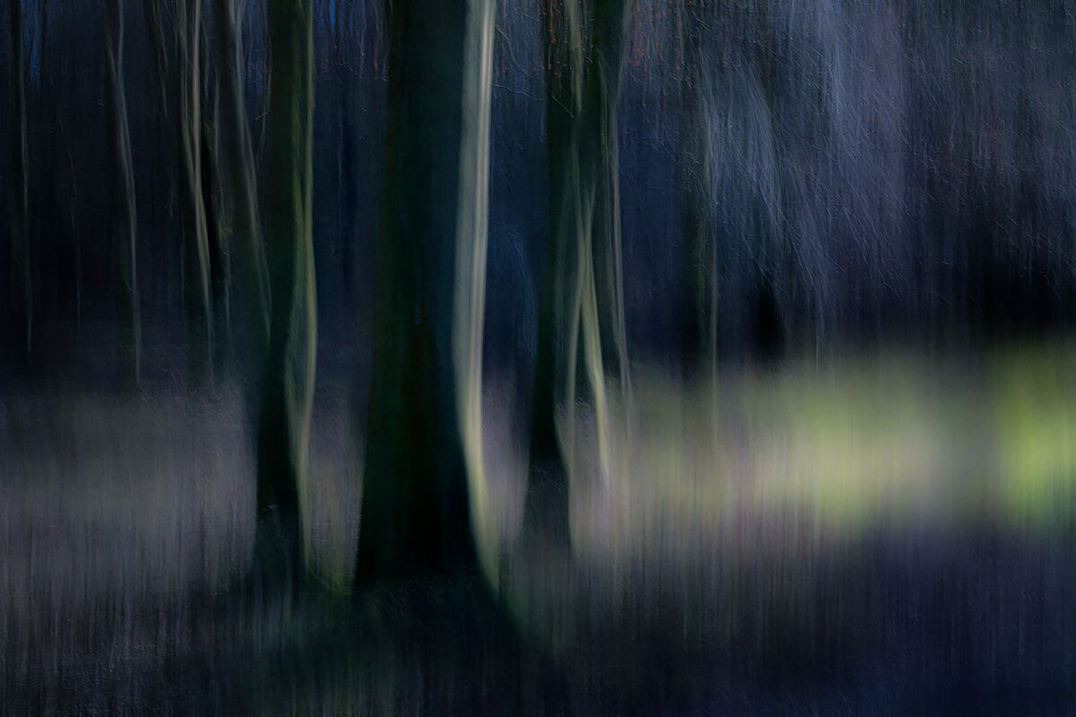 Abstract trees