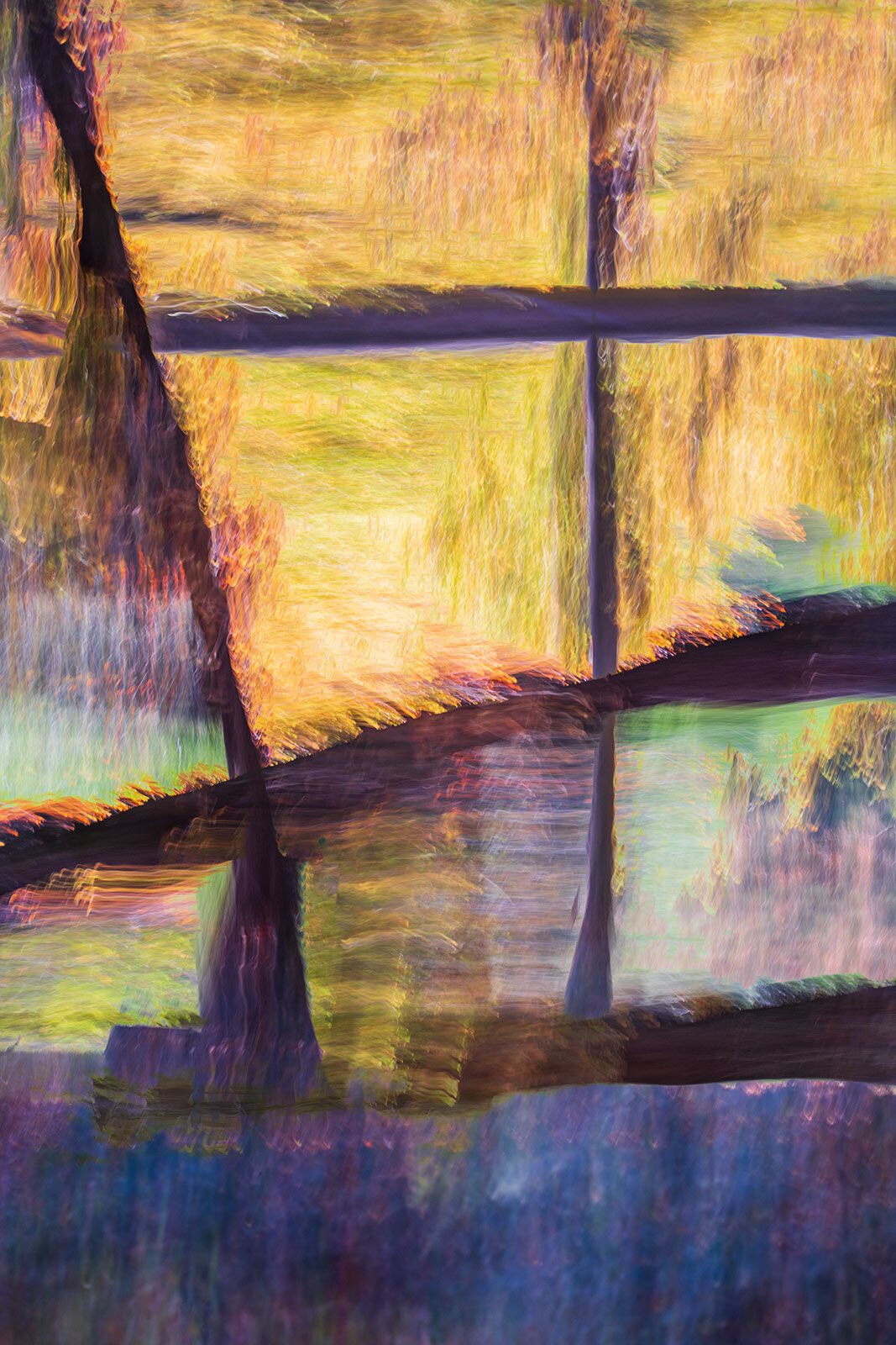 ICM image of the Norfolk woodlands