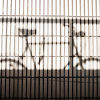 Bike Shadow