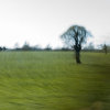 Panning Landscape