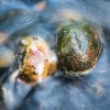 Stones in River