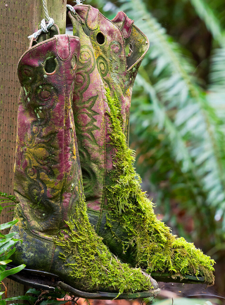 Boots on fence