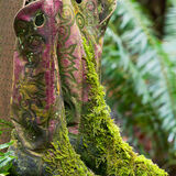 Boots on fence