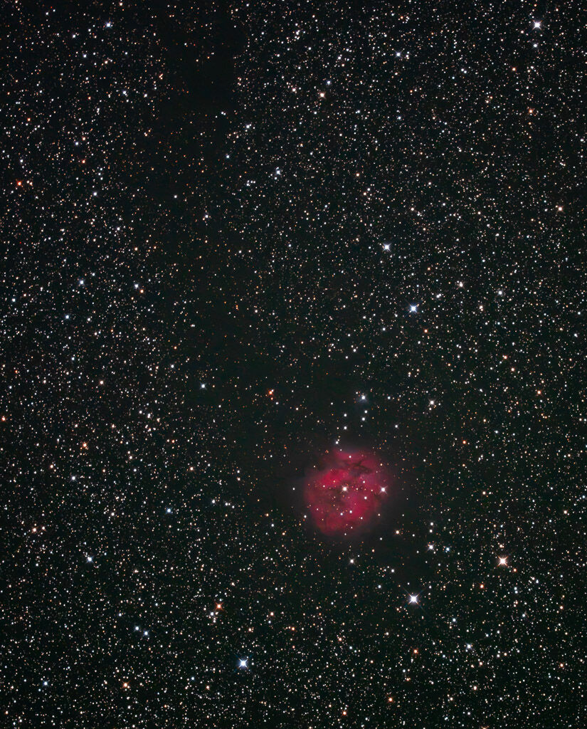 C19 Cocoon nebula