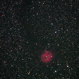 C19 Cocoon nebula