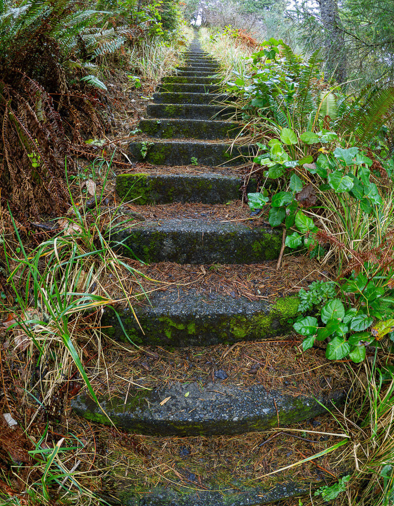 Steps up from Nellies Cove, Port Orford